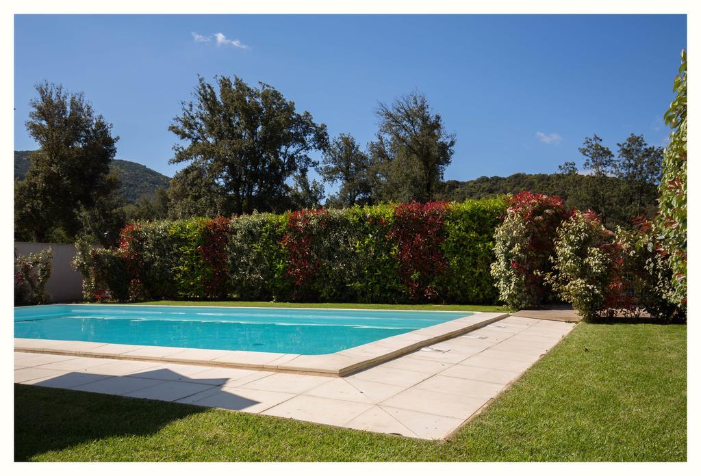 Villa 4 Etoiles Sole Di Corsica Cauro Eksteriør billede